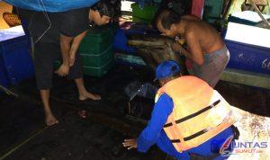 IMG-20210124-WA0030