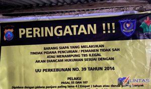 IMG-20210401-WA0006