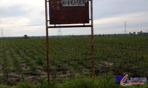 IMG-20210413-WA0008