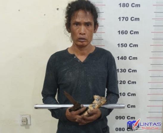 Foto : Adi alias Gondrong (51) warga Dusun I Desa Padang Tualang, Kecamatan Padang Tualang, Kabupaten Langkat, Sumatera Utara (Sumut), yang diamankan petugas Polres Langkat, Sabtu (19/06/2021).