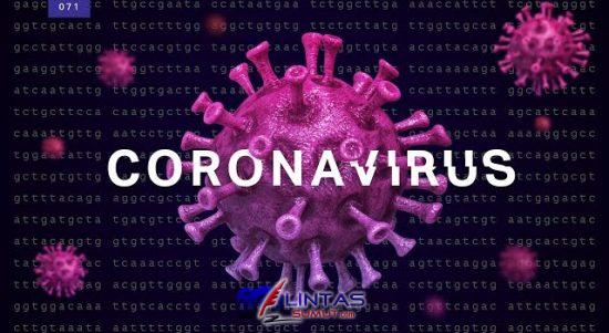 Ilustrasi Virus Corona