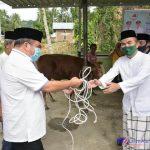 FB_IMG_1596188869232