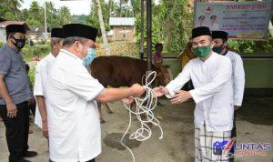 FB_IMG_1596188869232