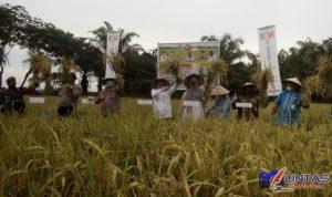 IMG-20200716-WA0003