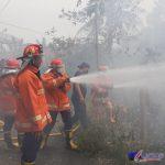 IMG-20210307-WA0007