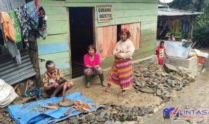 IMG-20210514-WA0005