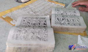 IMG-20210610-WA0009