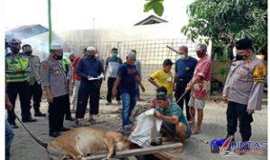 IMG-20210721-WA0026