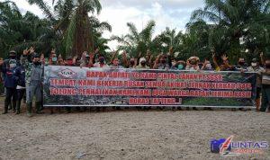 IMG-20210801-WA0030