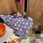 IMG_20220208_115510