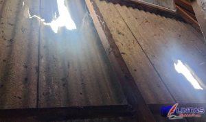 IMG_20220809_085256