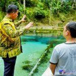 IMG-20240205-WA0011