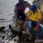 IMG-20240305-WA0015