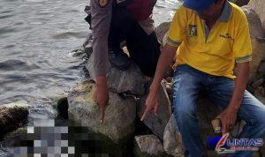 IMG-20240305-WA0015
