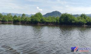 IMG_20240306_100055