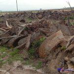 IMG_20240513_140529