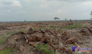 IMG_20240513_140630