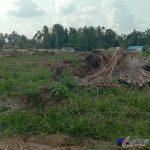 IMG_20240515_151626