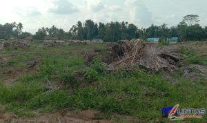IMG_20240515_151626