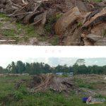 IMG_20240520_110527