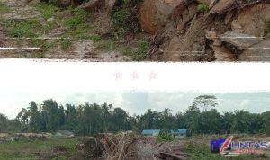 IMG_20240520_110527