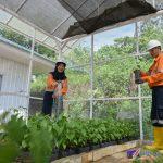 Foto 1 - Perluasan Nursery PTAR