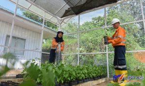 Foto 1 - Perluasan Nursery PTAR
