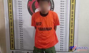IMG-20240727-WA0001