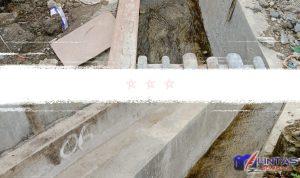 IMG_20240926_100533