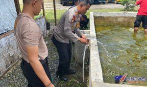 IMG-20241105-WA0015
