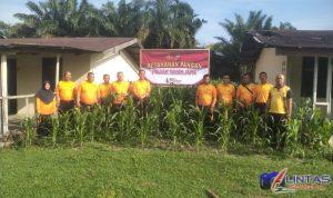IMG-20241109-WA0012