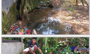 GridArt_20241222_142245273