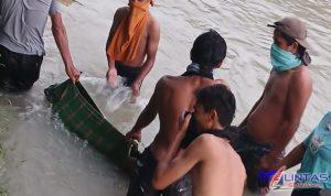IMG-20241207-WA0005