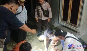 IMG-20241212-WA0047
