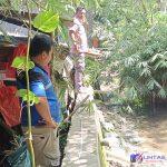 IMG_20250110_112939