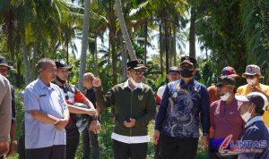 IMG-20250718-WA0047
