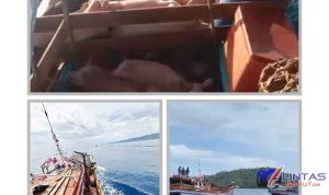 GridArt_20260115_203236606