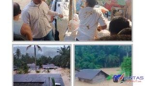 GridArt_20260219_010608729