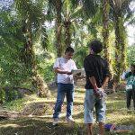 IMG-20260628-WA0017